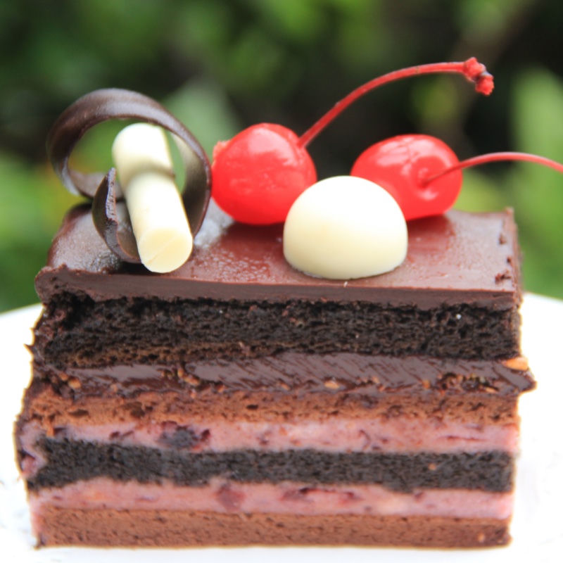 Fiesta Chocolate Cake